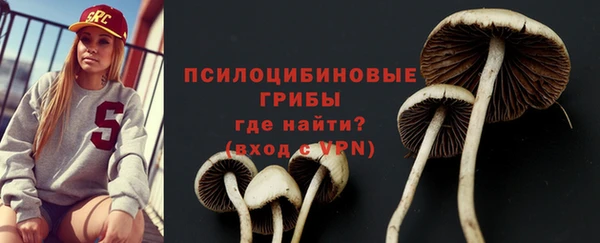 бошки Алексин