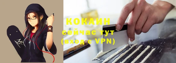 бошки Алексин