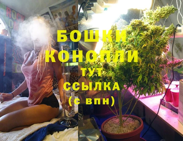 бошки Алексин