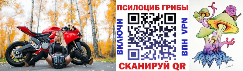 Псилоцибиновые грибы прущие грибы  Шелехов 